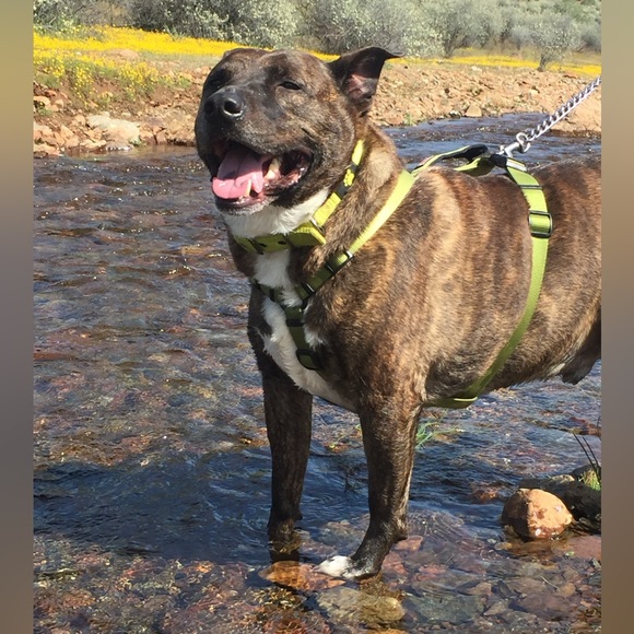 End of duty 6/12/24 - Picture 9 of 15